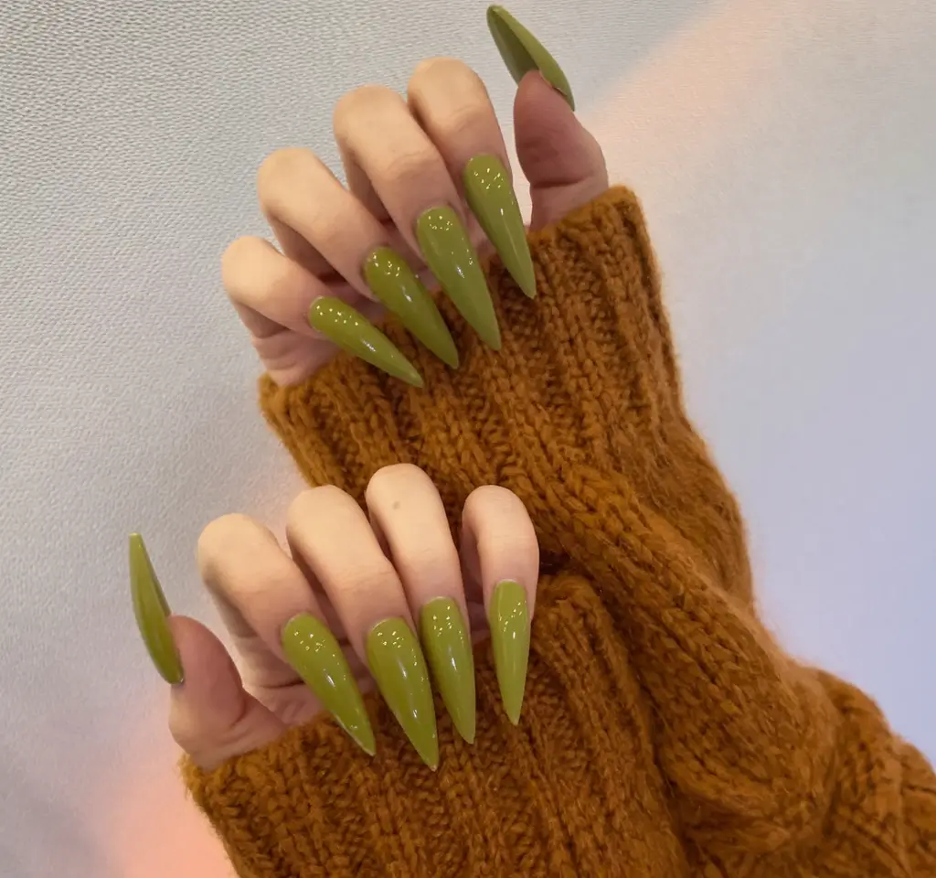 Fall Stiletto Nails 2025: Trendy Designs in Green, Orange, Matte & More