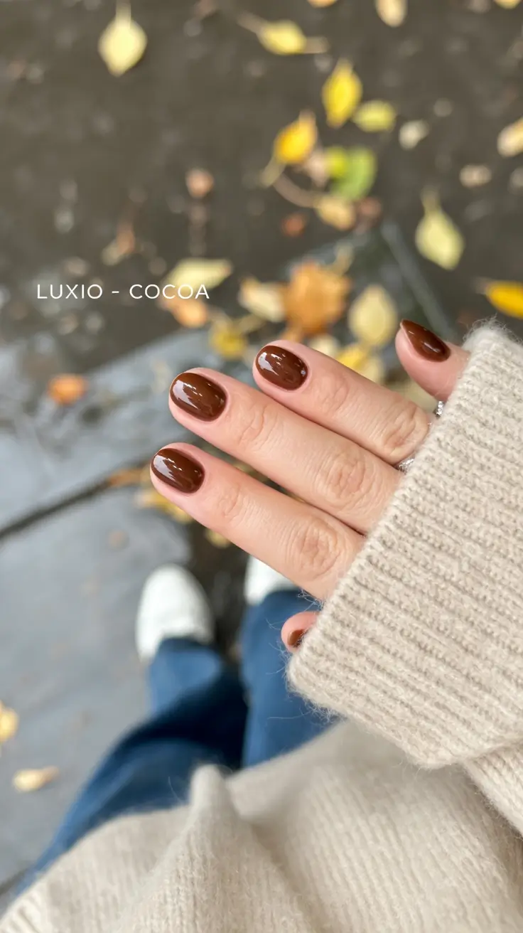 Brown Fall Nails 2025: Stylish Designs, Shapes & Ideas for Cozy Season