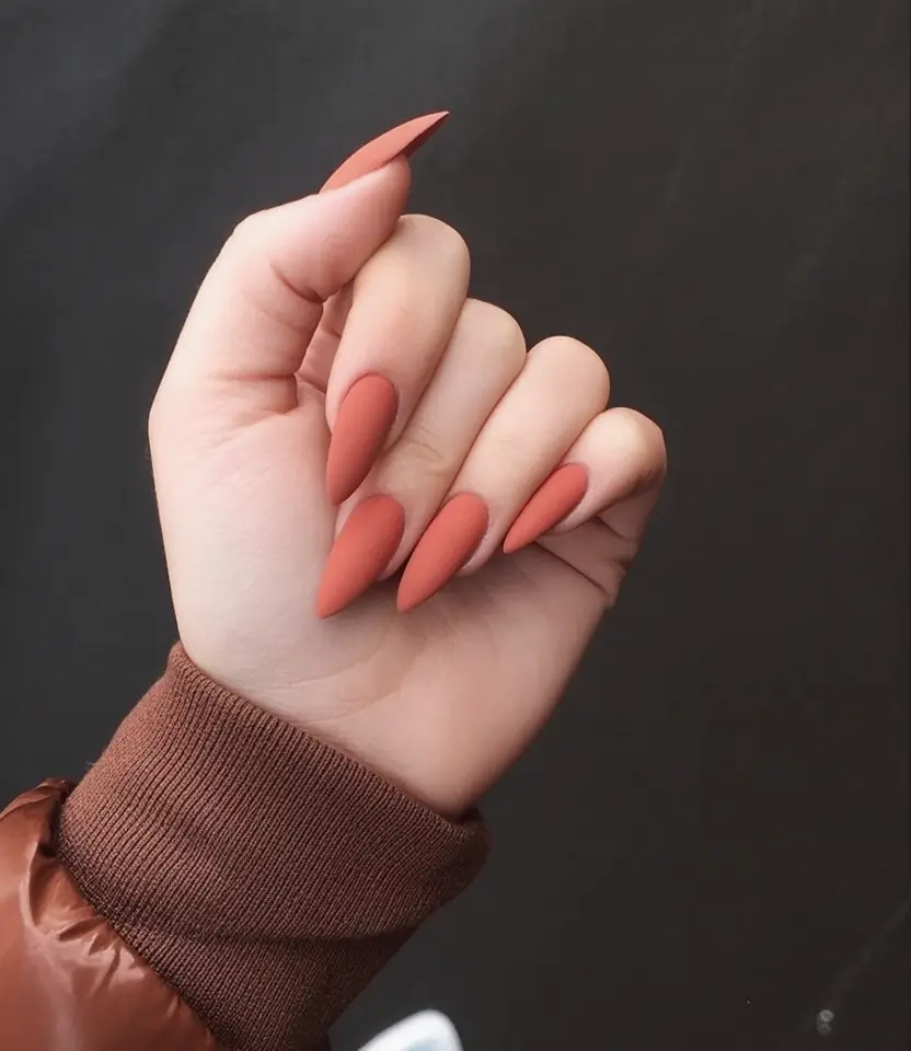 Fall Matte Nails 2025: Cozy Autumn Colors and Trendy Design Ideas